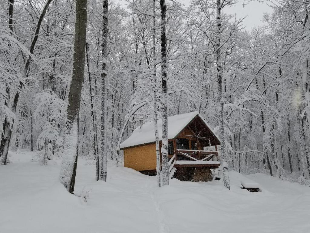 Les Cabines Nordik 2.0 Shawinigan Buitenkant foto