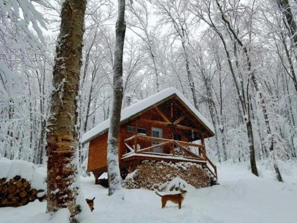 Les Cabines Nordik 2.0 Shawinigan Buitenkant foto